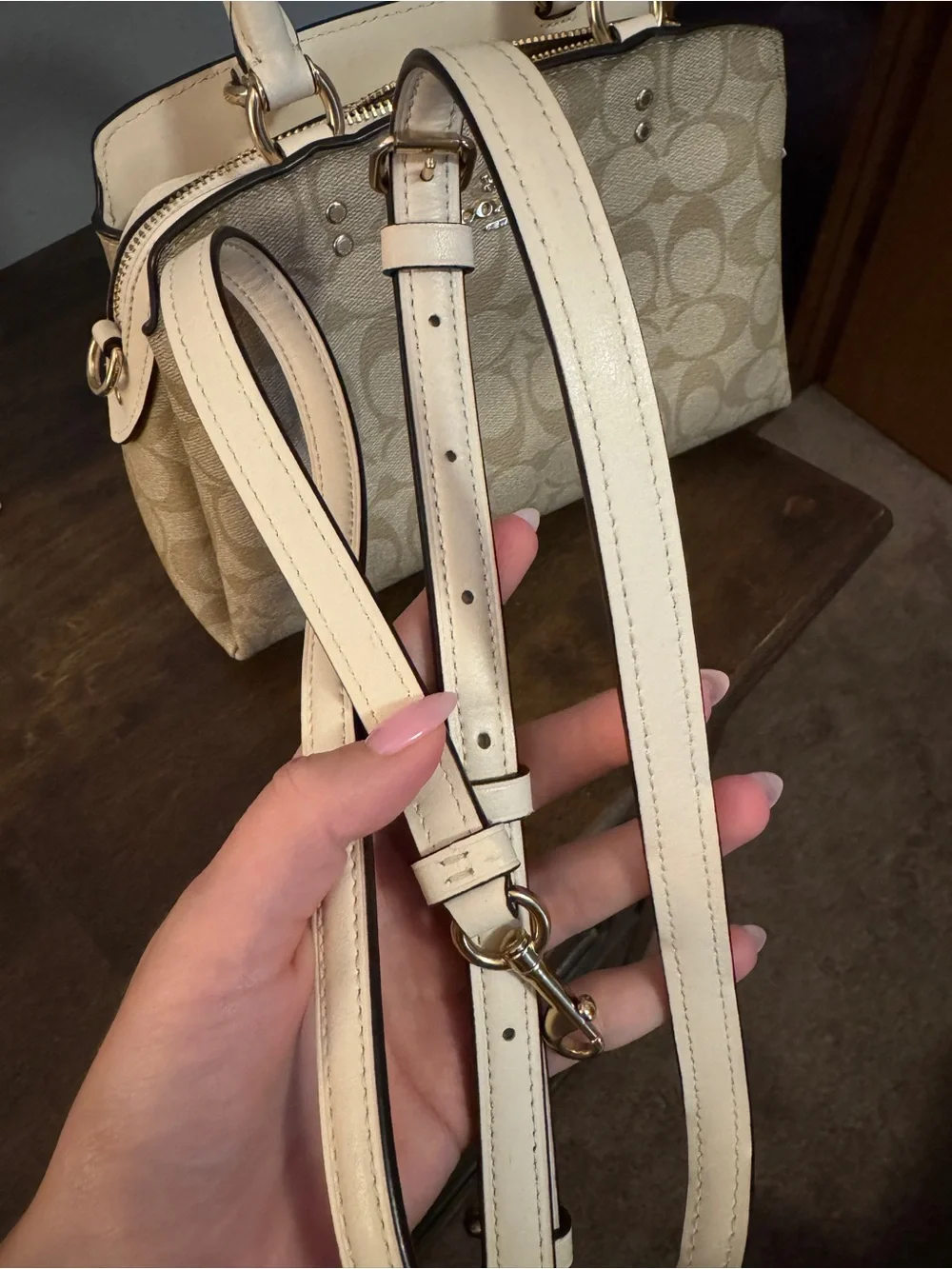Coach Mini Lillie Carryall